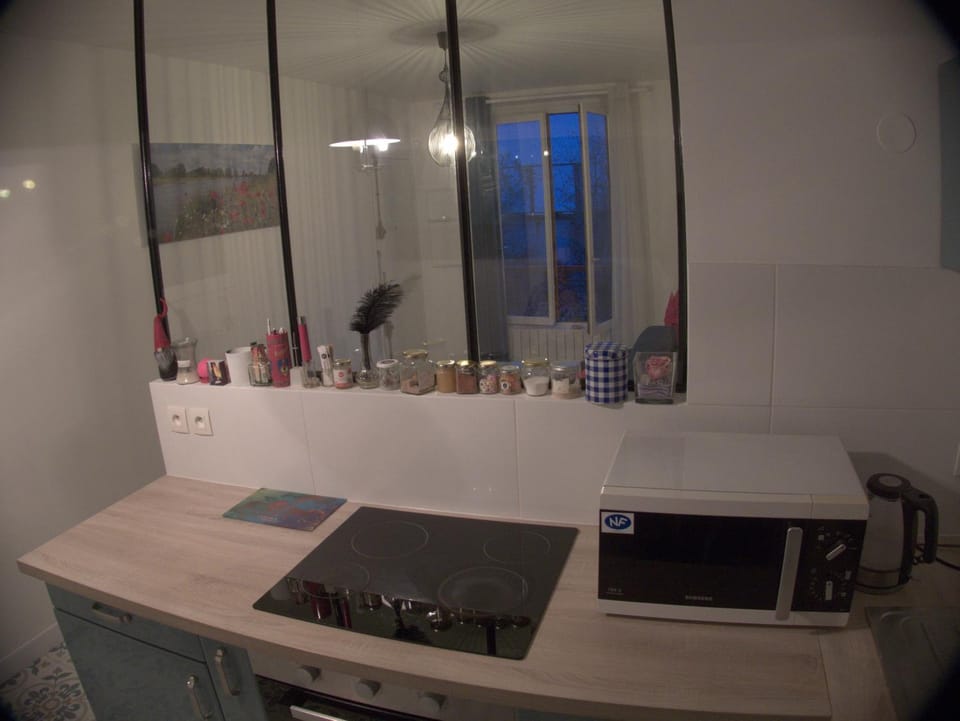 Beauty of Paris Apartment in Paris