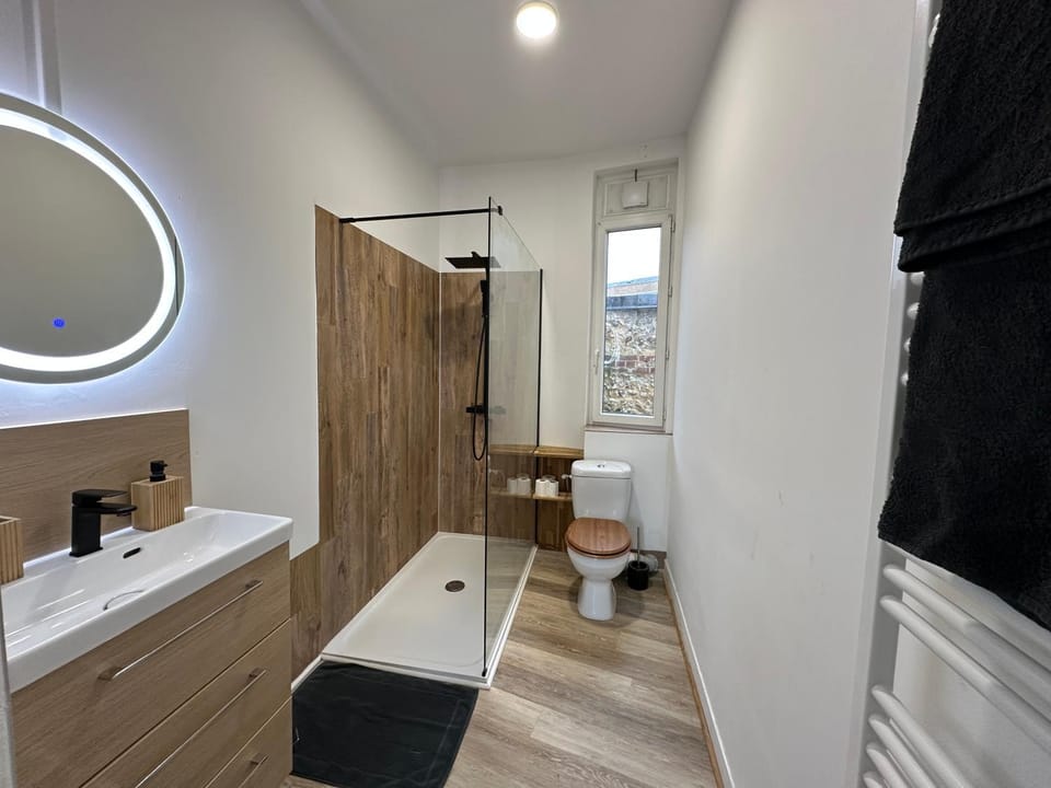 Shower, Toilet, Bathroom, towels