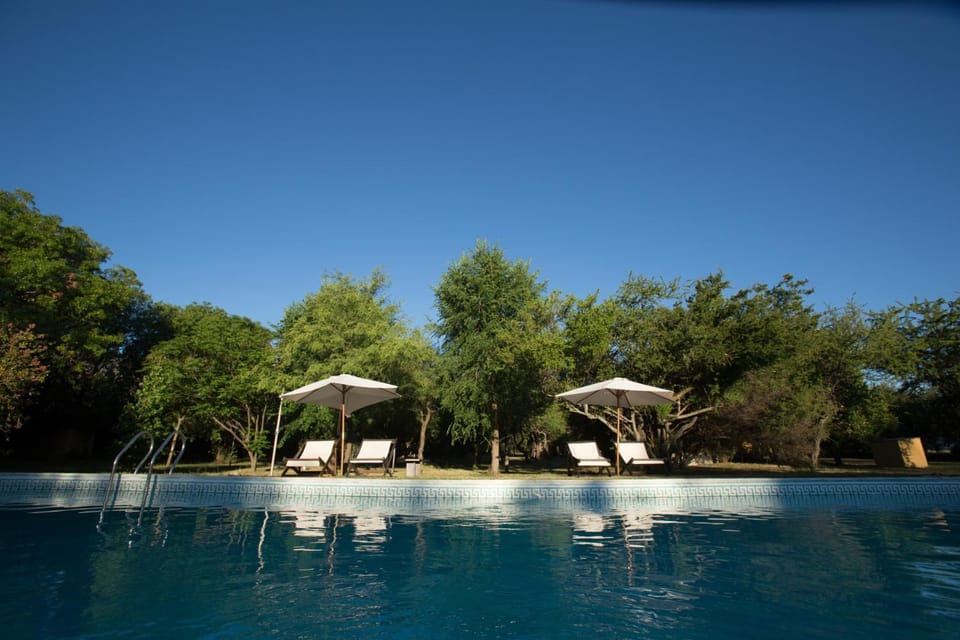 Swimming pool