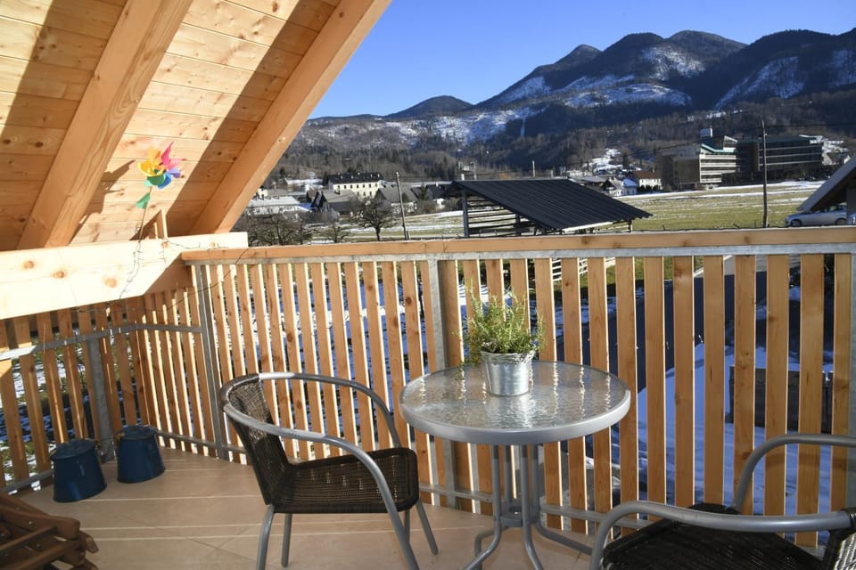 Apartments Ajda Apartment in Slovenia