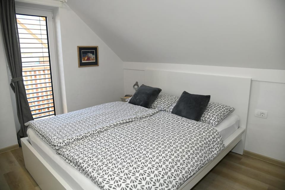 Apartments Ajda Apartment in Slovenia