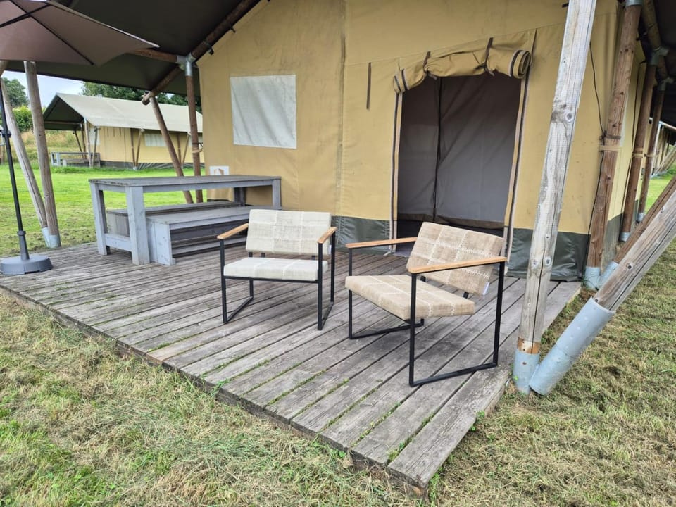 Patio, Day, Garden, Garden view