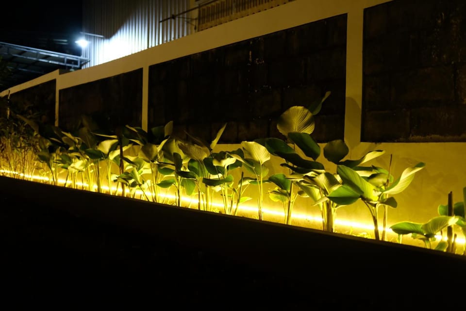 Night, Garden, Decorative detail, Garden view