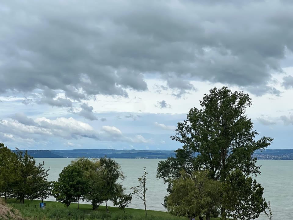 Lake view
