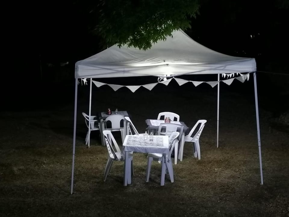 Night, Garden