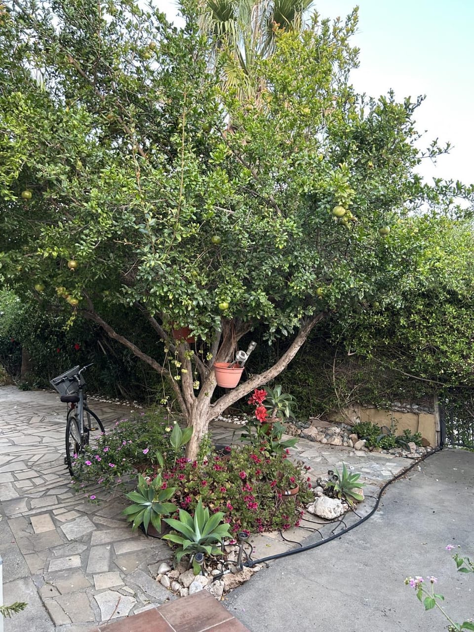 Beautiful maisonette in Protaras House in Paralimni