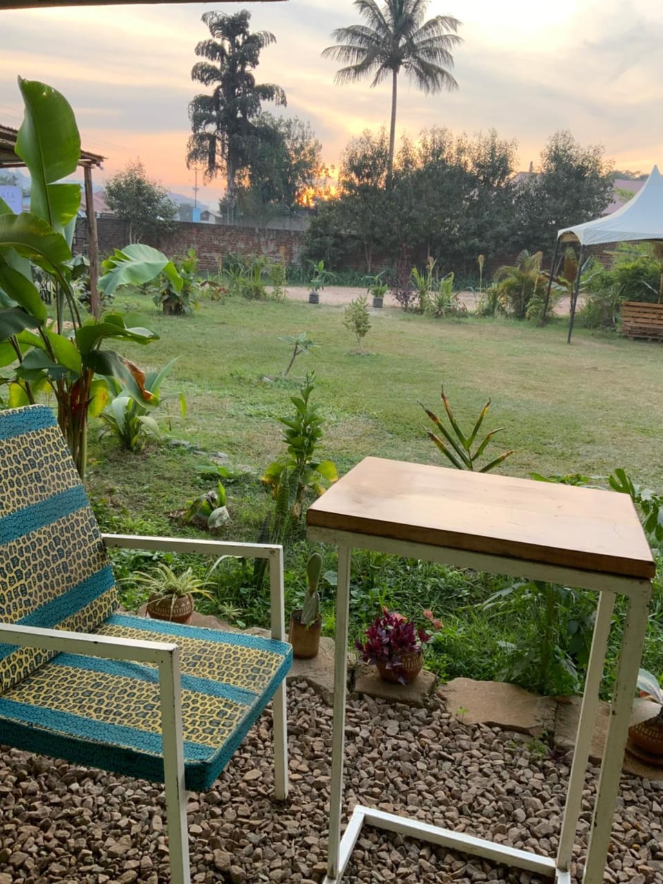 Natural landscape, Garden, Sunset