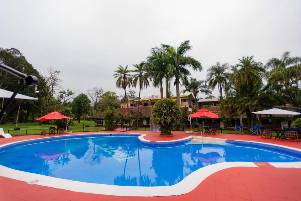 Garden, Garden view, Swimming pool, sunbed