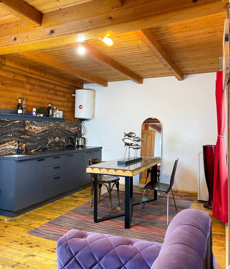 Villzone vila in Prishtina with big garden Villa in Serbia