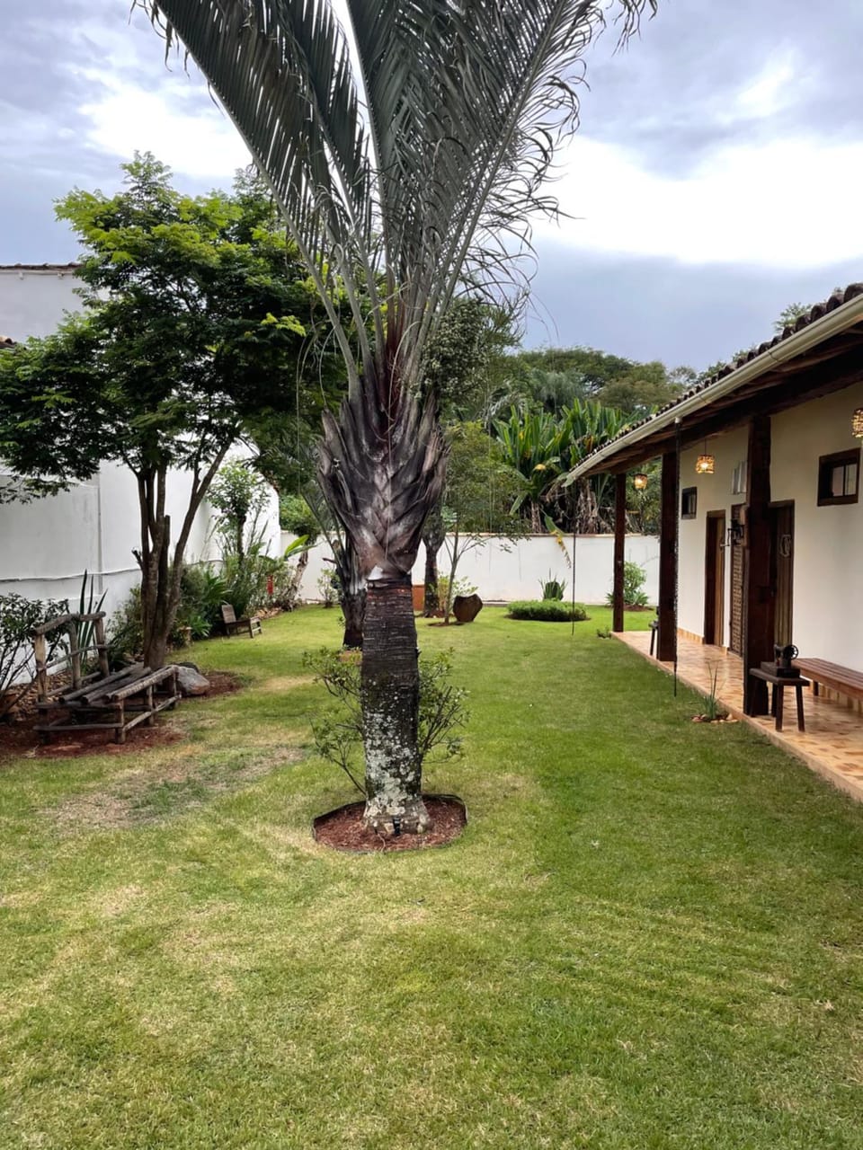 Spring, Natural landscape, Garden view