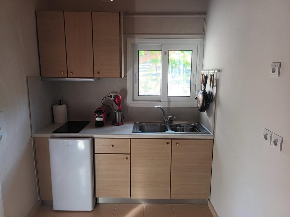 Coffee/tea facilities, Kitchen or kitchenette, minibar, stove