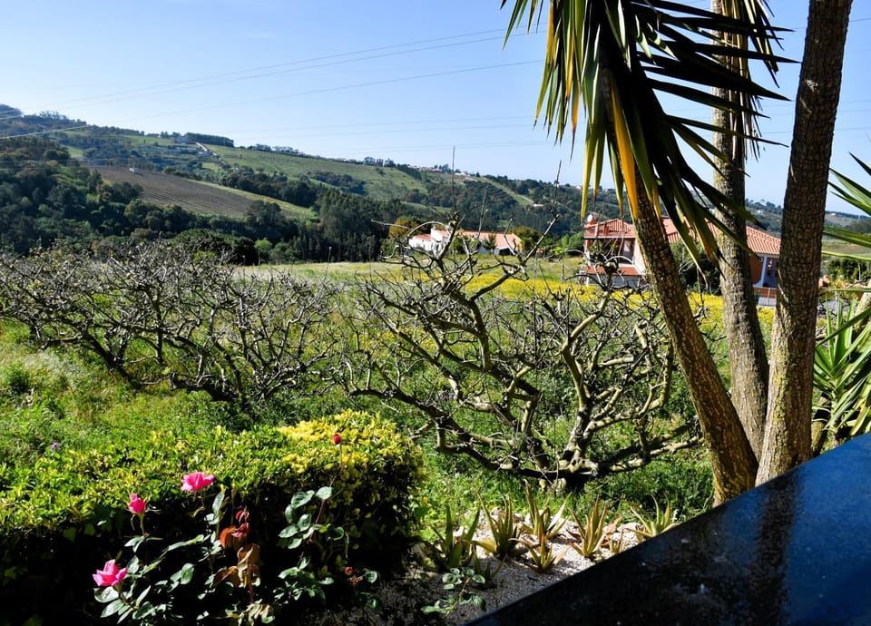 Garden, Balcony/Terrace, Garden view
