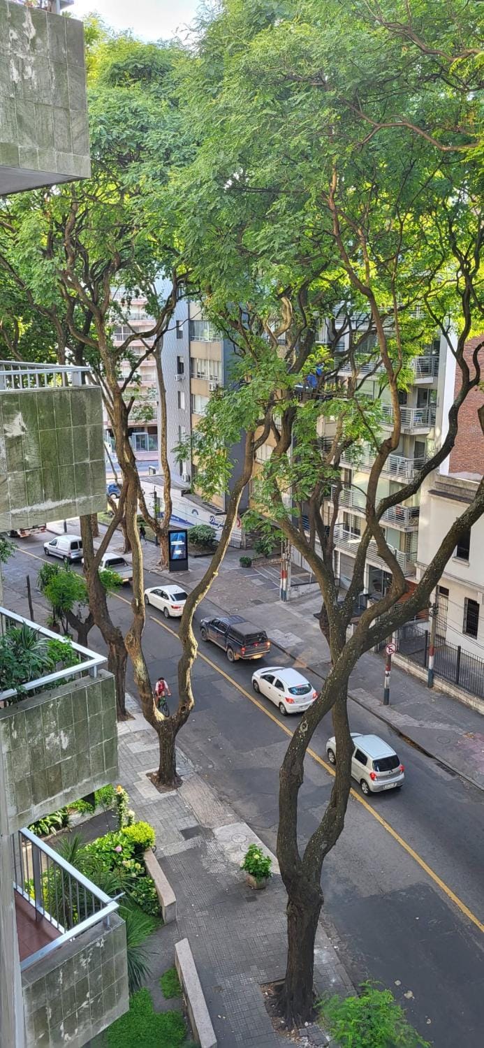 Neighbourhood, City view, Street view