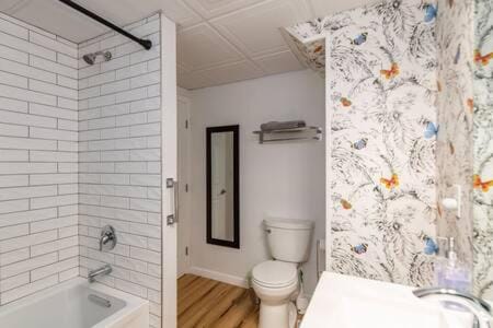 Cozy Private Apt near Downtown Inn in Burlington