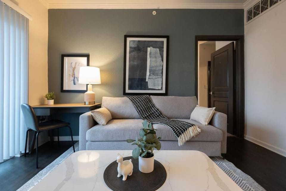 Landing Modern Apartment with Amazing Amenities (ID4305X6) Apartment in Austin