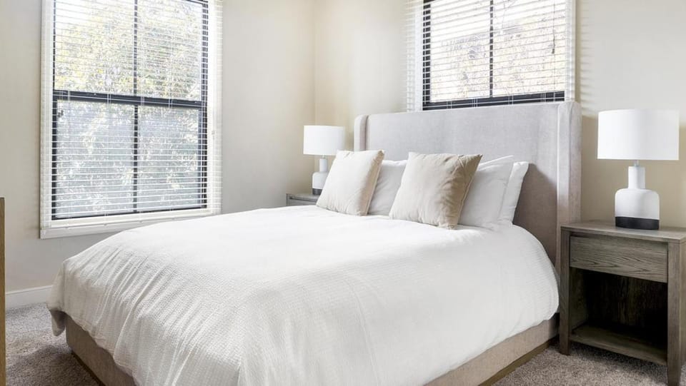 Landing Modern Apartment with Amazing Amenities (ID1225X333) Apartment in Greenville