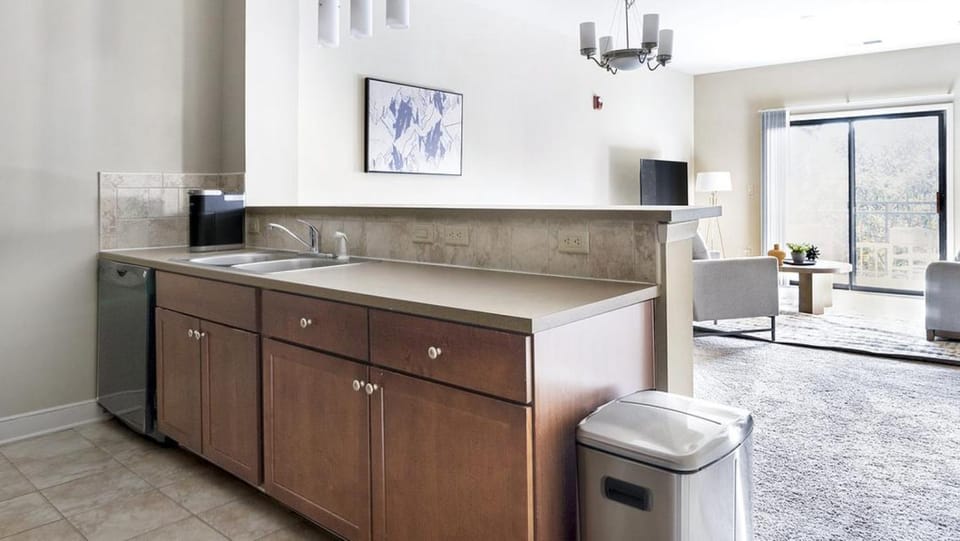 Landing Modern Apartment with Amazing Amenities (ID1225X333) Apartment in Greenville