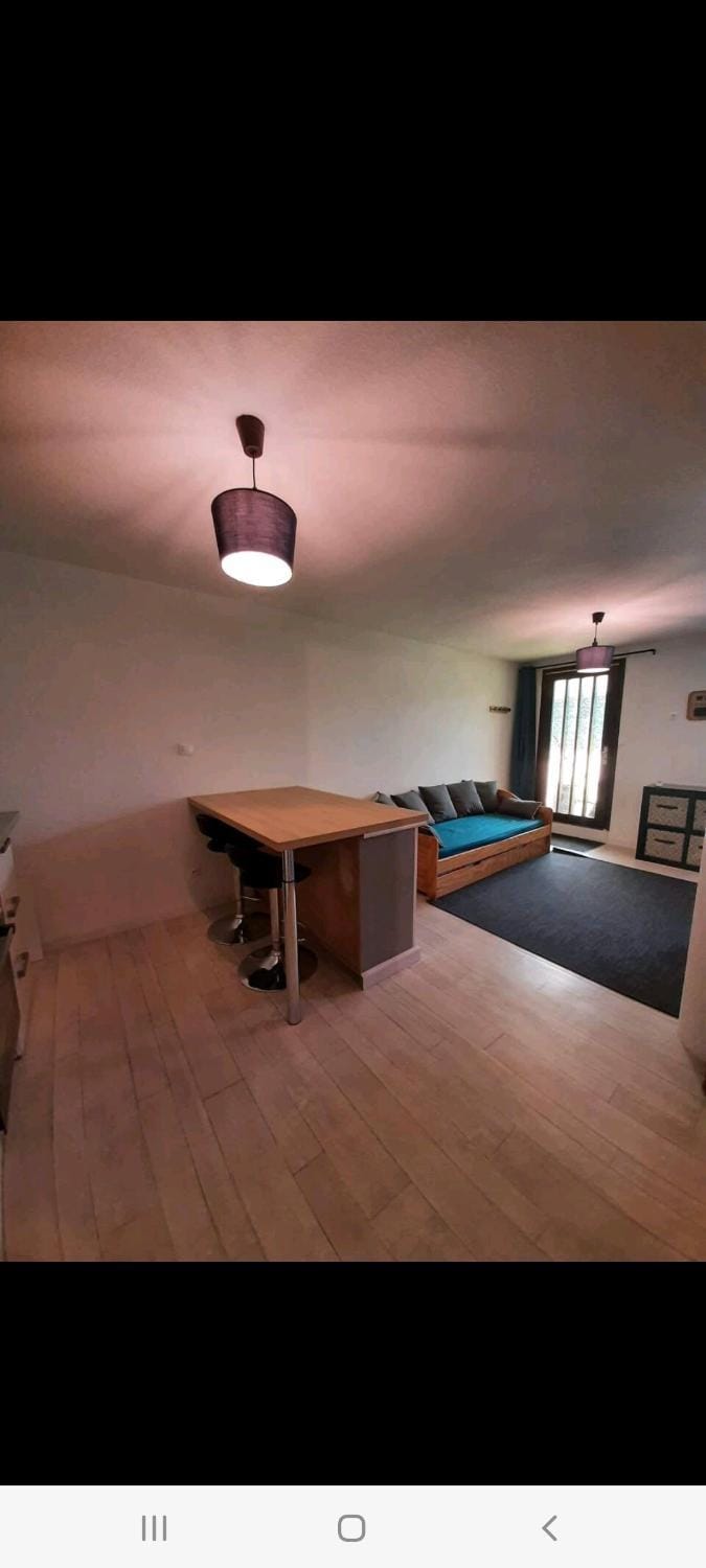 CONFORTABLE STUDIO 37M2 NETFLIX CANAL+... Apartment in Auvergne-Rhône-Alpes