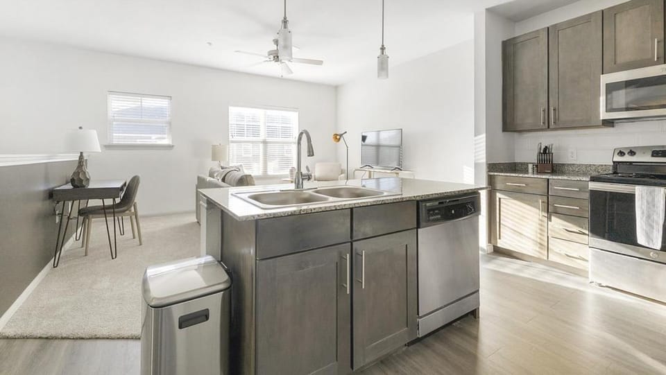 Landing Modern Apartment with Amazing Amenities (ID9550X82) Apartment in Texas