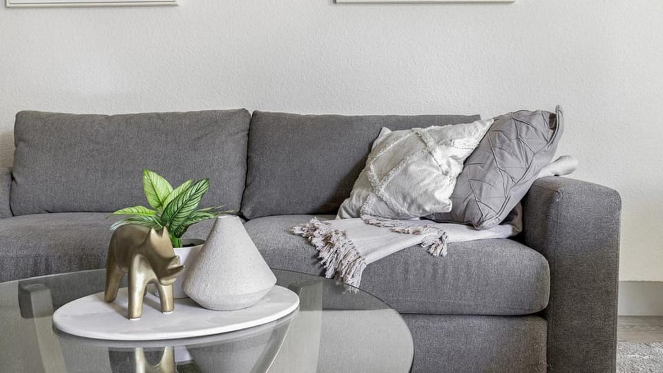 Landing Modern Apartment with Amazing Amenities (ID1374X218) Apartment in San Antonio