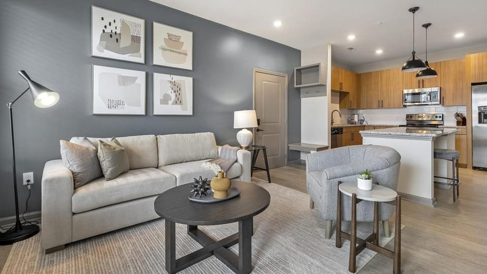 Landing Modern Apartment with Amazing Amenities (ID1208X252) Apartment in Charlotte