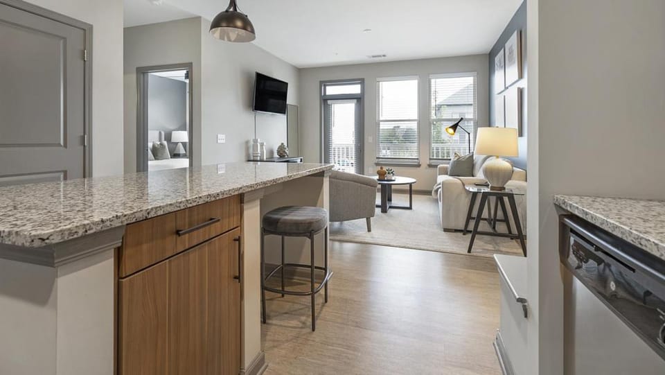 Landing Modern Apartment with Amazing Amenities (ID1208X252) Apartment in Charlotte