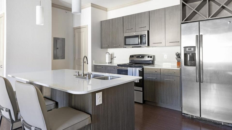 Landing Modern Apartment with Amazing Amenities (ID1230X535) Apartment in San Antonio