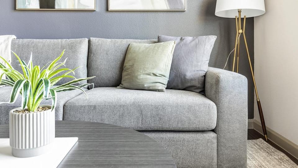 Landing Modern Apartment with Amazing Amenities (ID1230X535) Apartment in San Antonio
