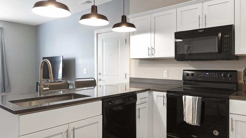 Landing Modern Apartment with Amazing Amenities (ID8145X4) Apartment in Toledo