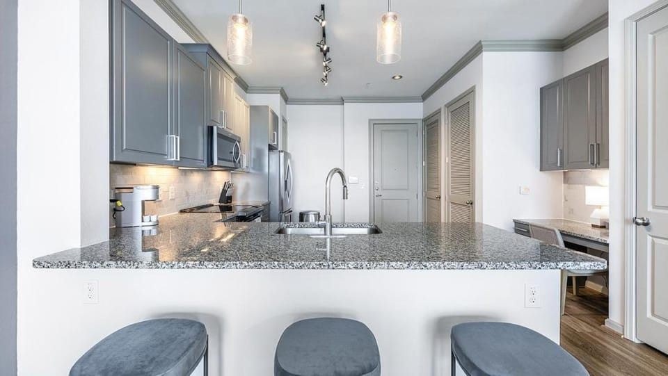 Landing Modern Apartment with Amazing Amenities (ID7989X65) Apartment in Richardson