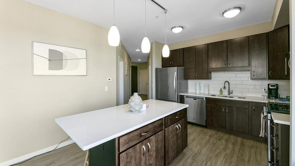 Landing Modern Apartment with Amazing Amenities (ID8029X26) Apartment in Edina