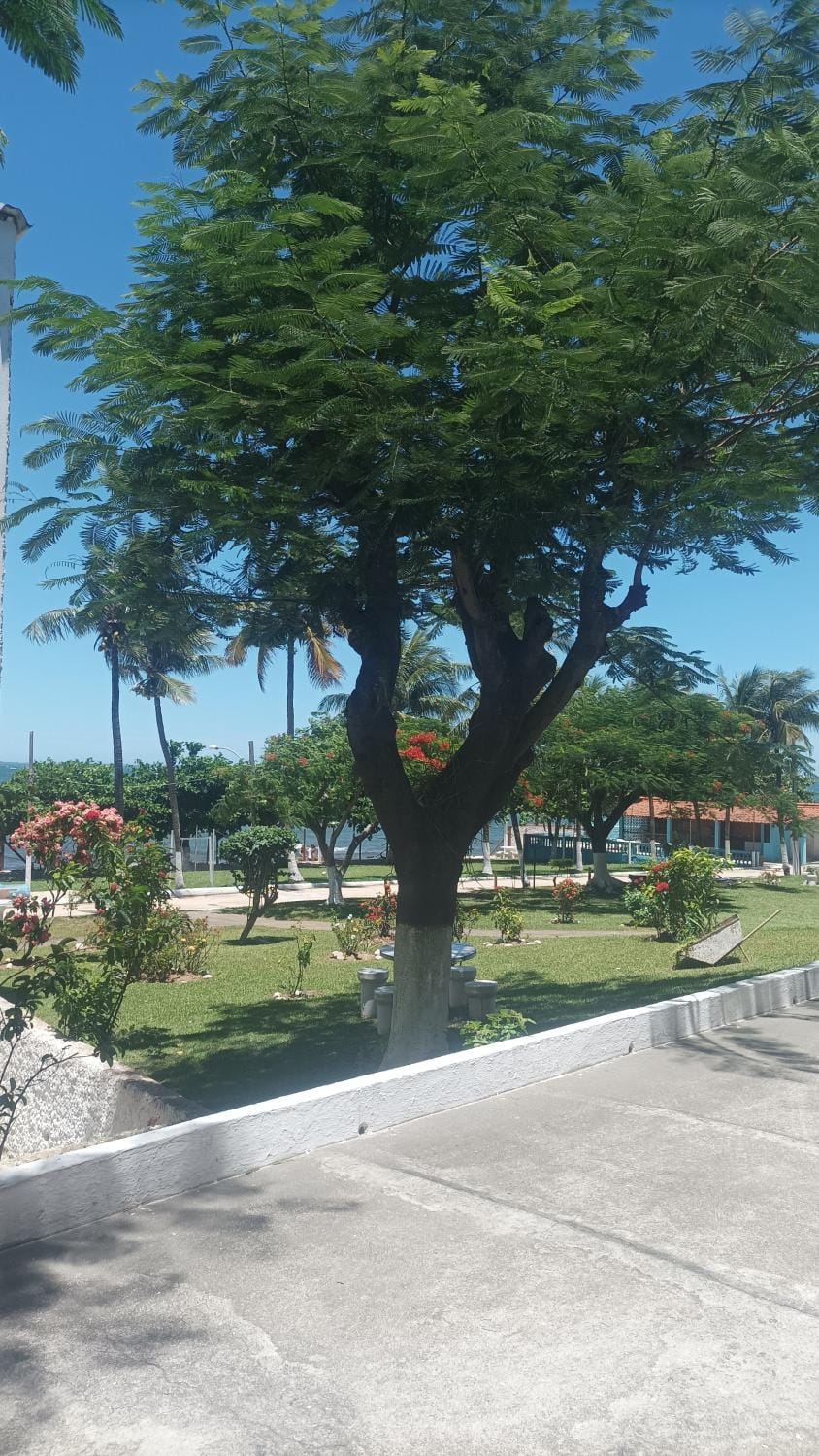 Spring, Day, Natural landscape