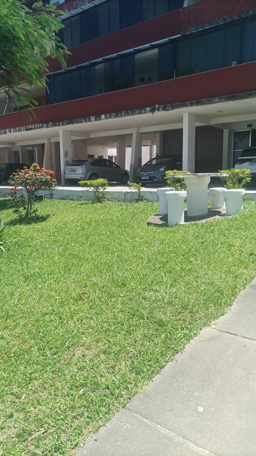 Property building, Day, Natural landscape, Garden, Living room, Garden view