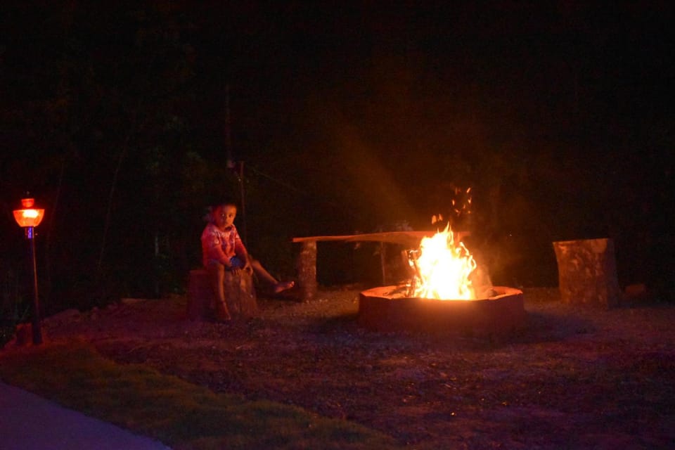 Night, group of guests
