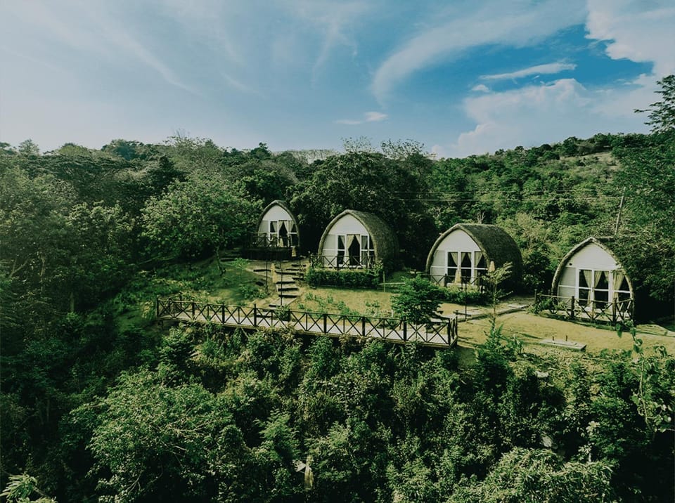 Natural landscape, Garden, Garden view
