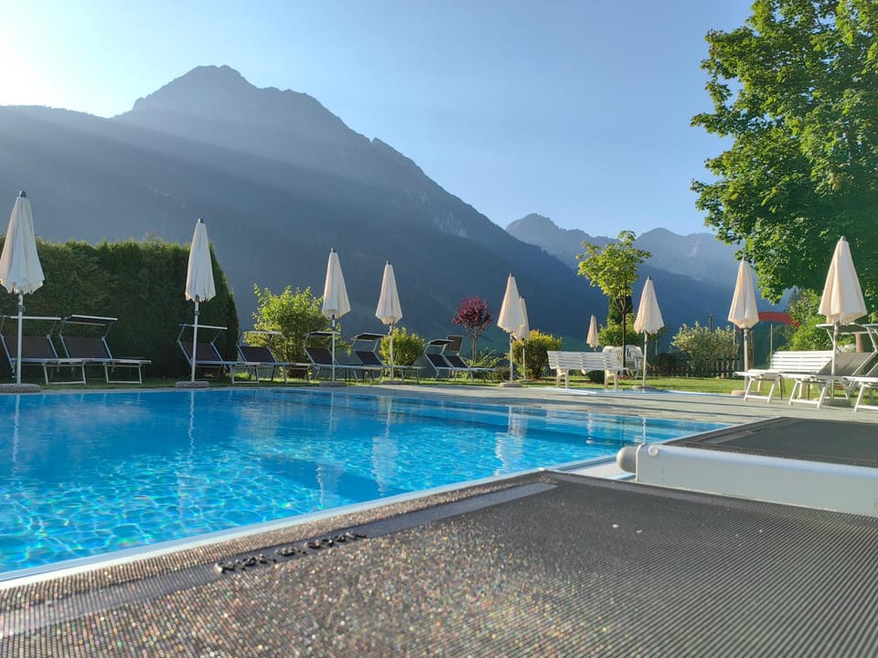 Summer, Garden view, Swimming pool