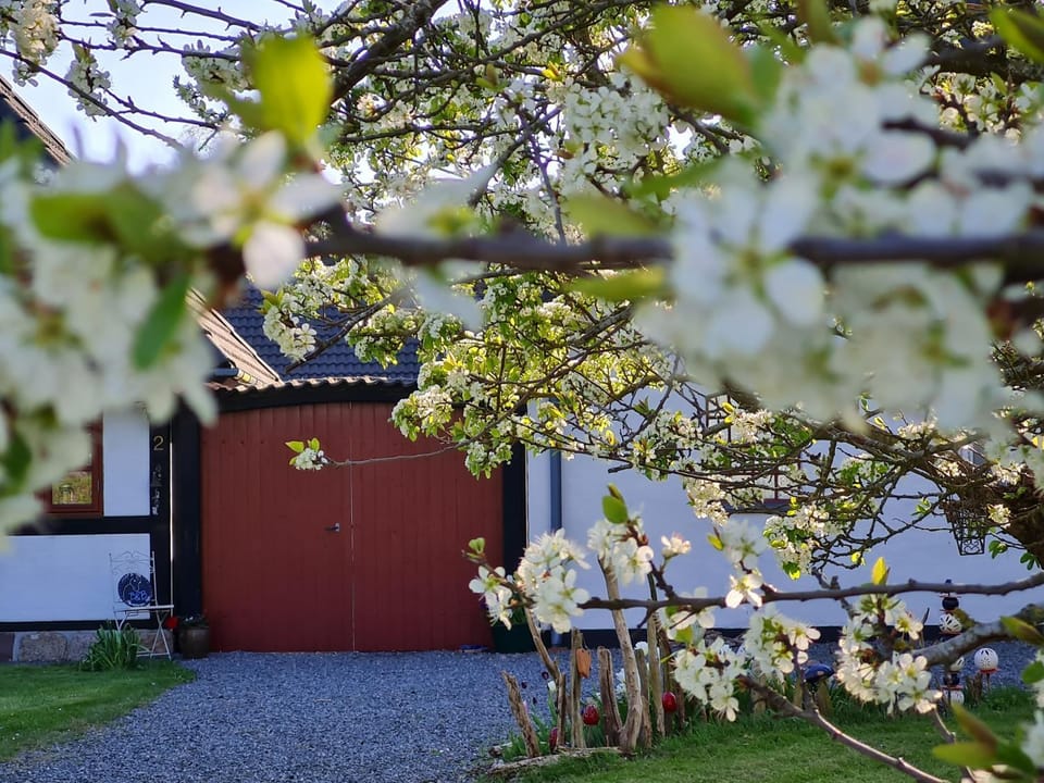 Property building, Spring