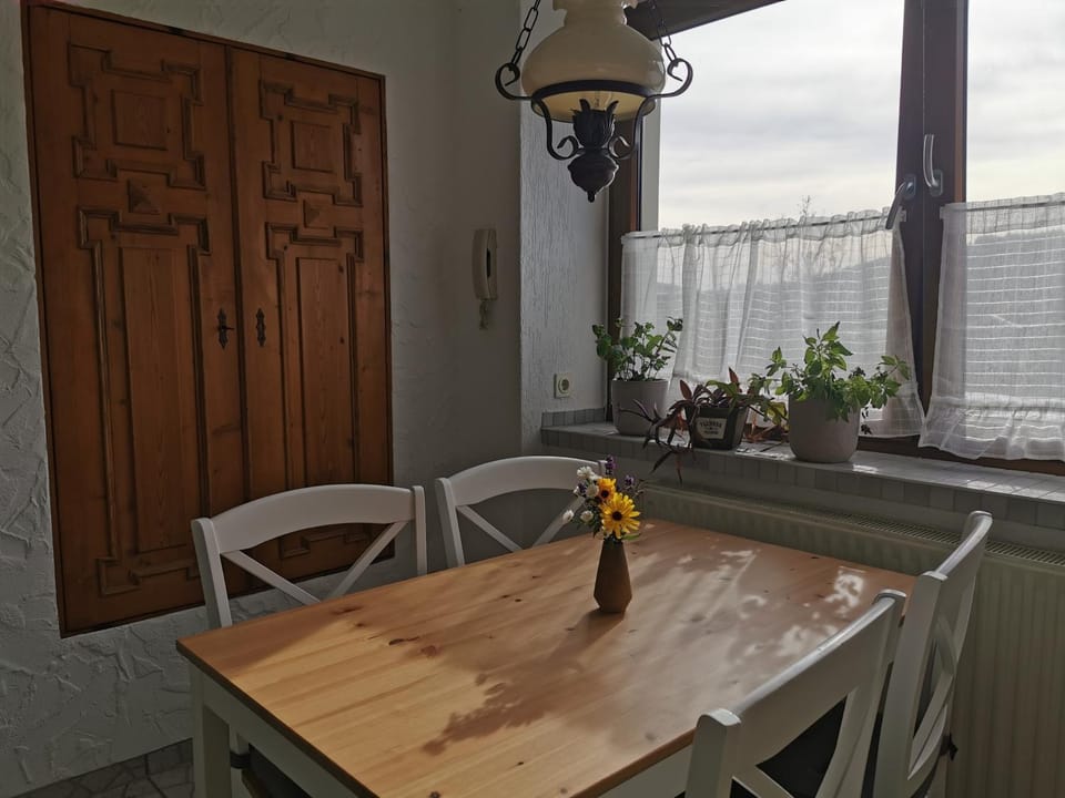 Zur alten Schnitzerei Apartment in Erzgebirgskreis