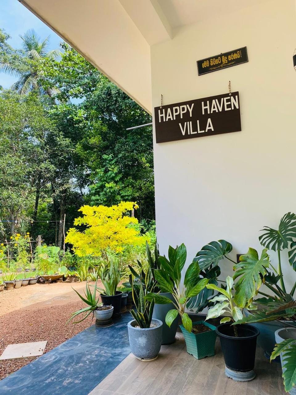 Garden
