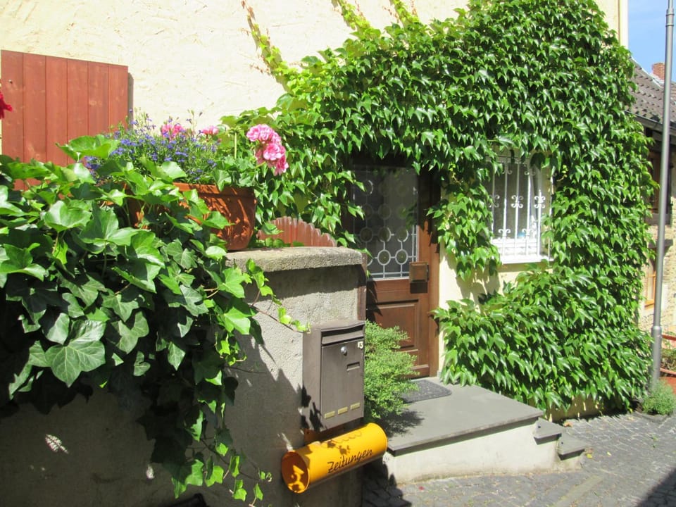 Neighbourhood