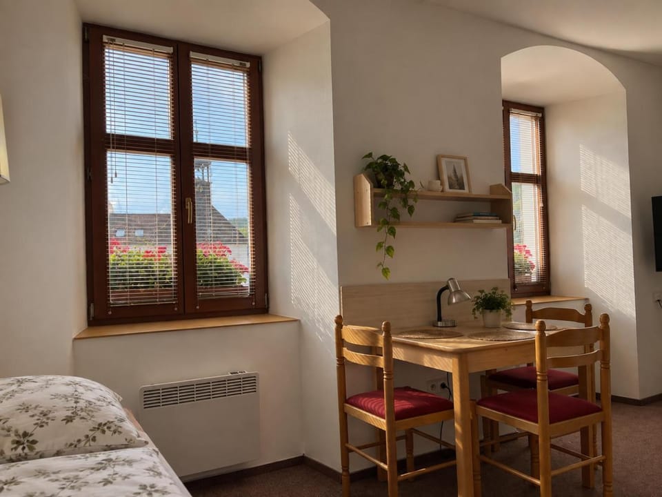 Bed, Coffee/tea facilities, Kitchen or kitchenette, Photo of the whole room, Seating area, internet