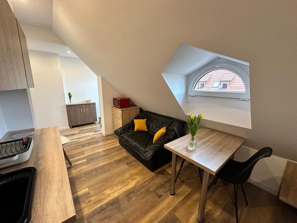 Living room, minibar, stove, kitchen