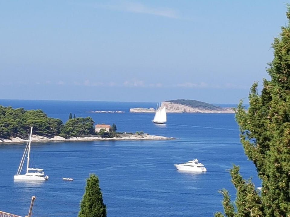 Apartment Miso Apartment in Cavtat
