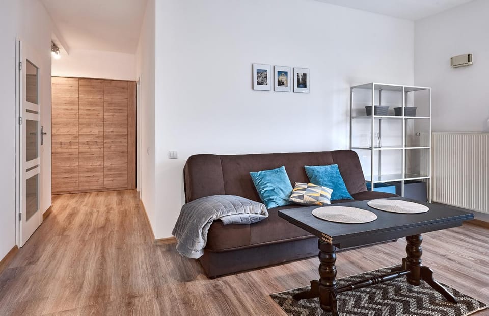 Bed, Living room, Photo of the whole room, Seating area, wardrobe