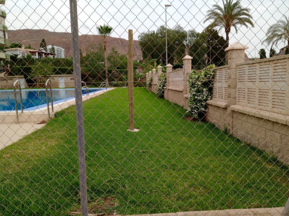 Garden view