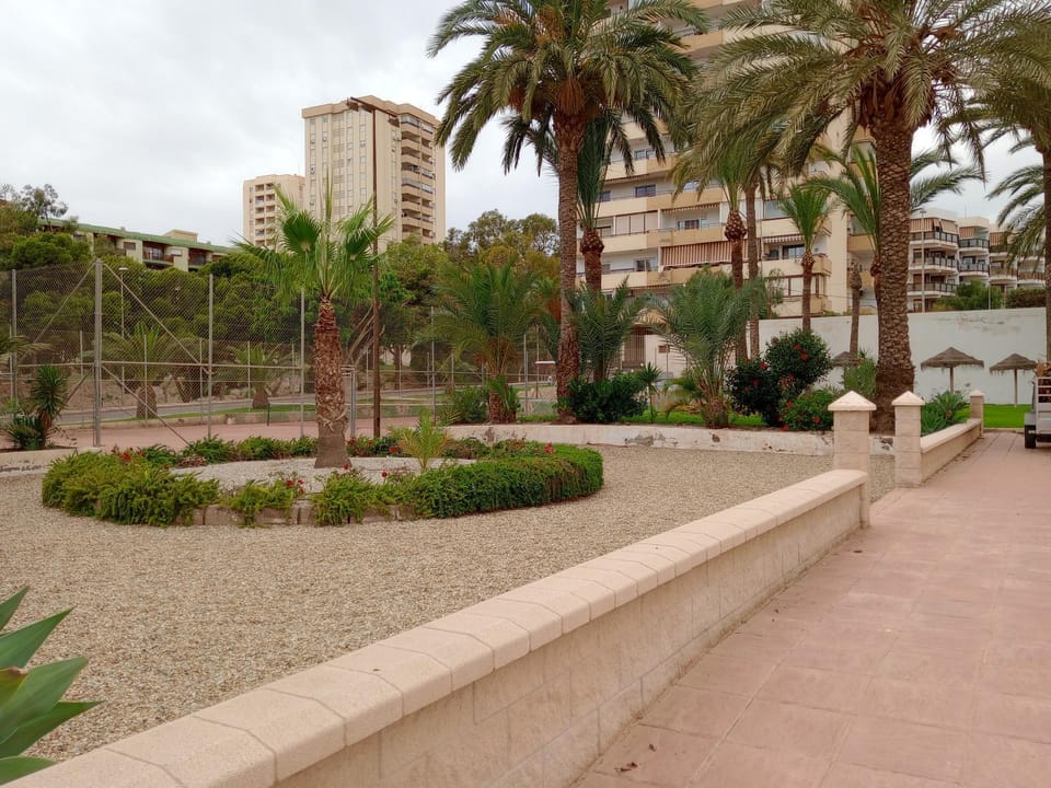 Garden view