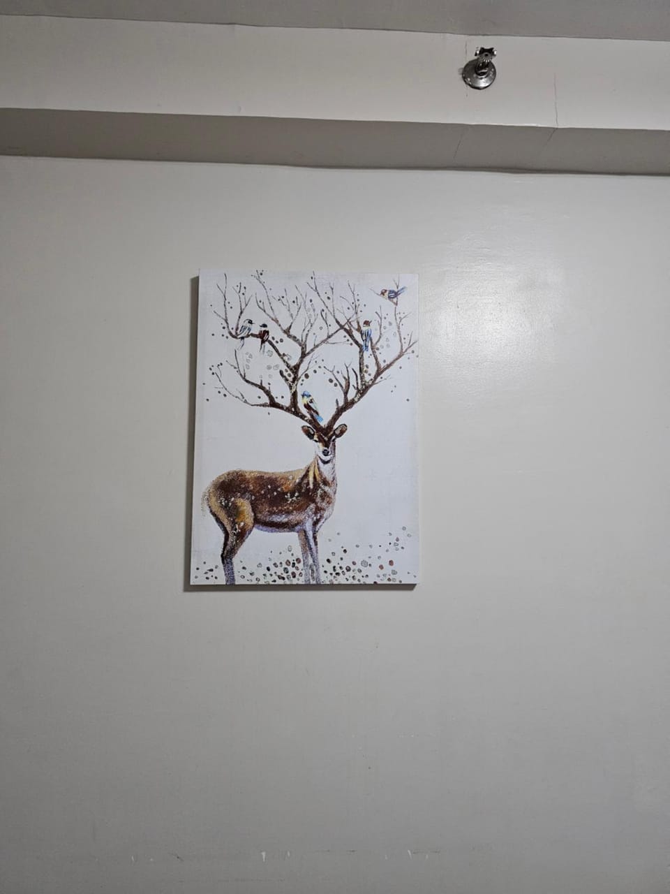 Tranquil Cool Studio Condo Mactan Cebu Bed and Breakfast in Lapu-Lapu City