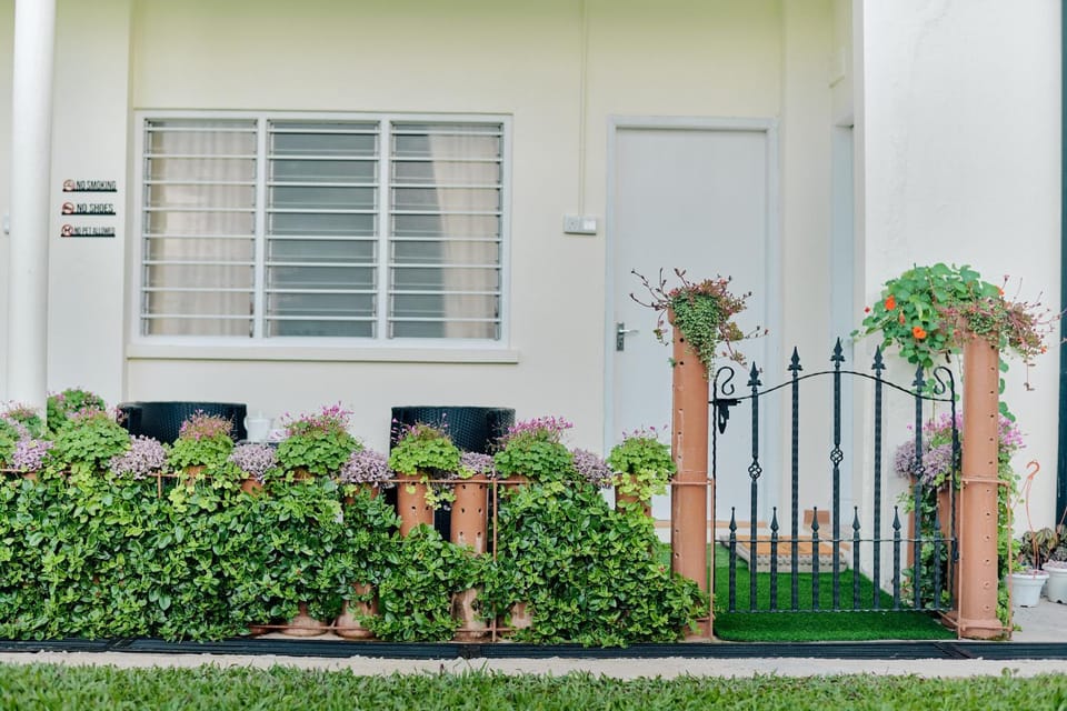 Patio, Garden view