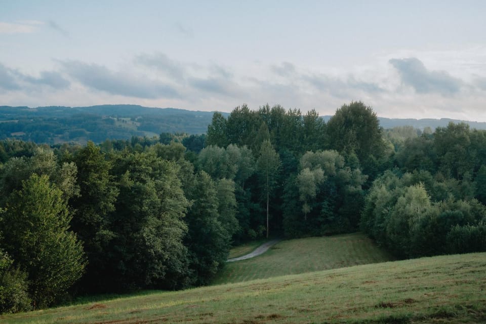 Nearby landmark, Day, Natural landscape, View (from property/room), Garden view, Mountain view