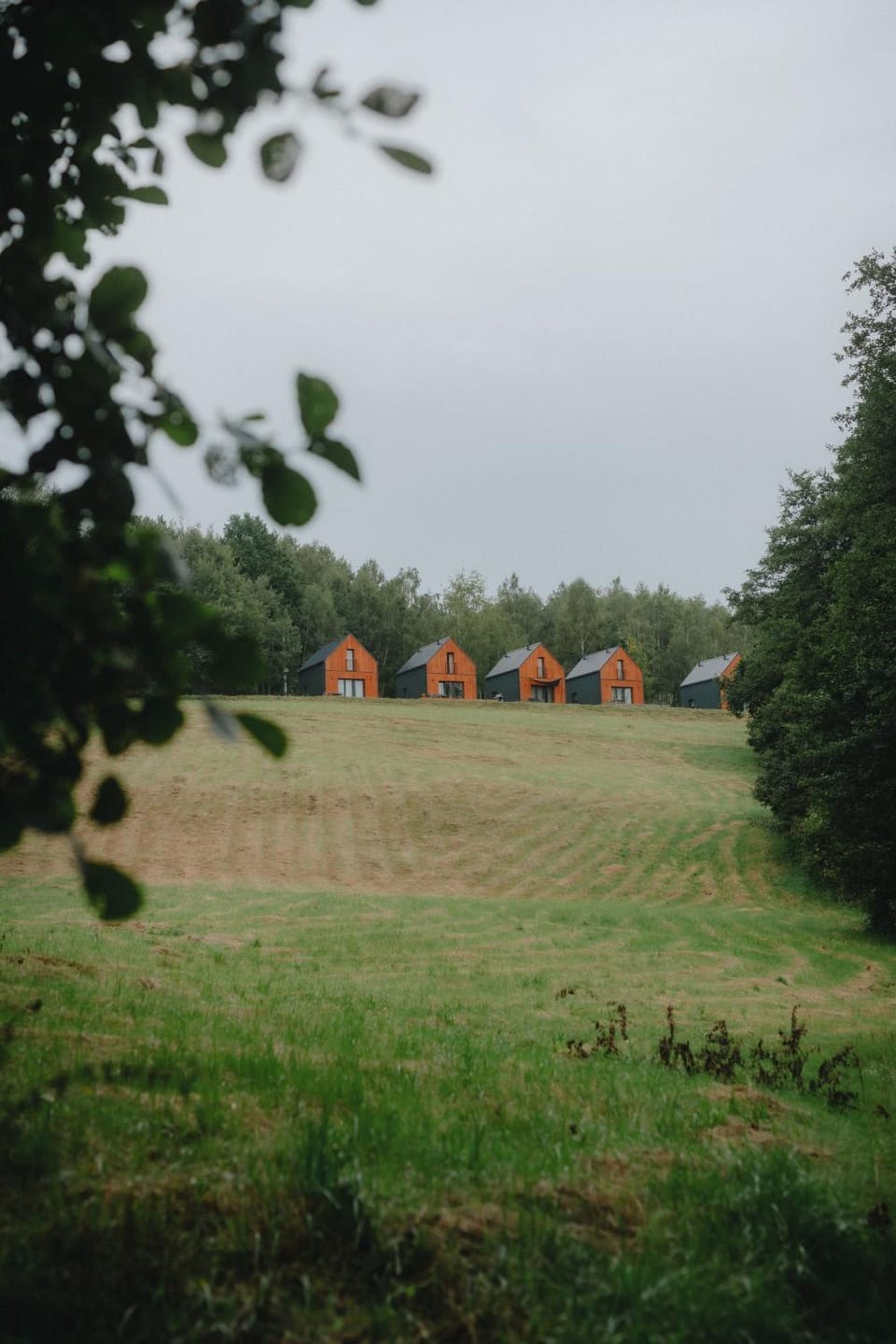 Day, Natural landscape, View (from property/room)